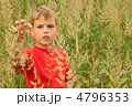 4796353