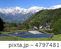 雪山と新緑の青鬼集落