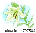 ユリの花イラスト
