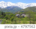 新緑とアルプスが見える村 新緑とアルプスが見える村