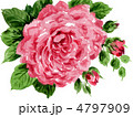 pinkrose12522pix