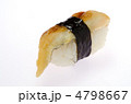 conger sushi, アナゴ