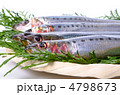 sardine, マイワシ