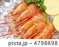 argentine red shrimp, アカエビ