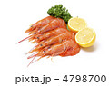 argentine red shrimp, アカエビ