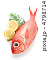 alfonsino, キンメダイ