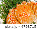horsehair crab, ケガニ