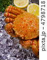 horsehair crab, ケガニ