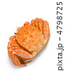 horsehair crab, ケガニ