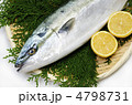 yellowtail, ブリ