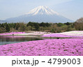 快晴の富士山と芝桜