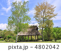 野鳥の森公園-17837 野鳥の森公園-17837