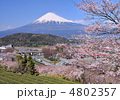 桜と富士山-6533