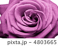 4803665