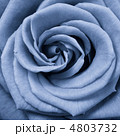 4803732