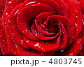 4803745