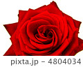 4804034