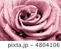 4804106