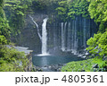 白糸の滝新緑