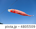 鯉のぼり