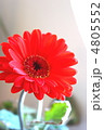 Flower Flower