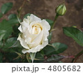 エアフロイリッヒ