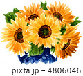 sunflower12523pix
