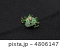 ビーズアクセサリー（かえる）