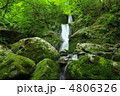 深呼吸’’緑’’