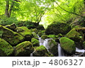 大自然バンザイ 大自然バンザイ
