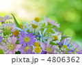 カモミールの花束