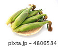 とうもろこし