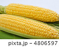 とうもろこし