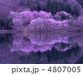 春の中綱湖