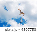 4807753