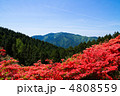 葛城山ツツジ園