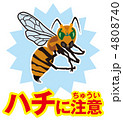 ハチ注意A-15