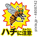 ハチ注意A-17
