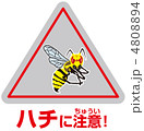 ハチ注意A-46