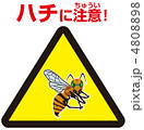 ハチ注意A-50