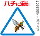 ハチ注意A-59