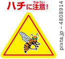 ハチ注意A-66