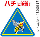 ハチ注意A-69