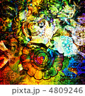 4809246