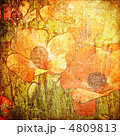 4809813