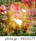 4810177