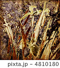 4810180