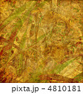 4810181