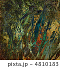 4810183