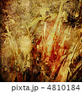 4810184